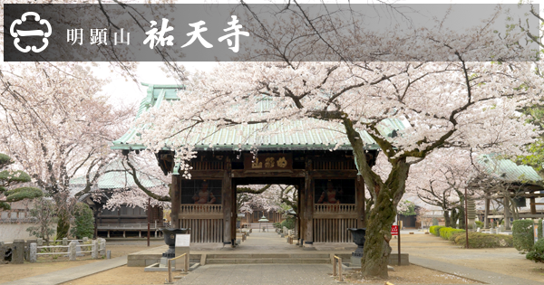 リンク | 明顕山 祐天寺